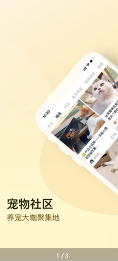 小萌猫app截图3