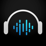 Dell Audio 软件图标
