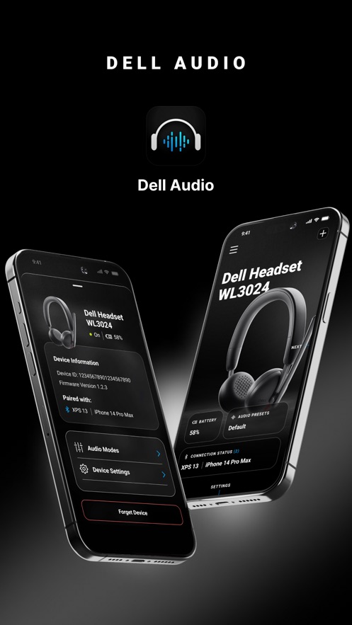 Dell Audio 软件截图3