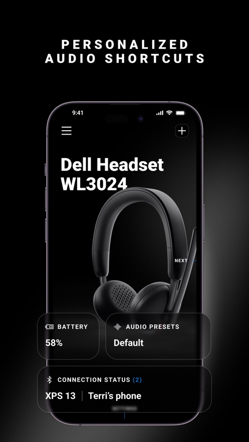 Dell Audio 软件截图6