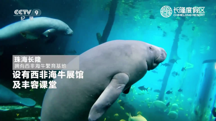 宽带电视tv版截图1