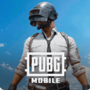 下载PUBG国际服正版，体验原汁原味的枪战射击