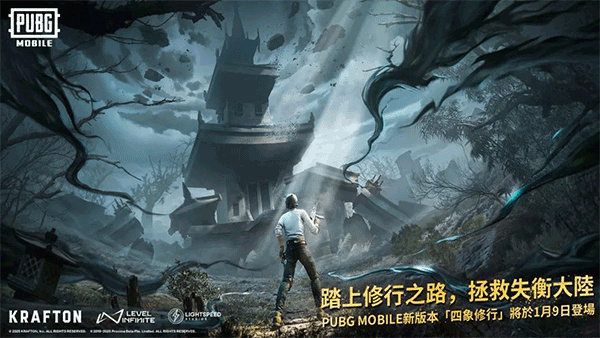 pubg国际服正版截图1