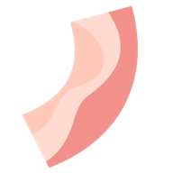 培根配万物游戏下载(Bacon)图标