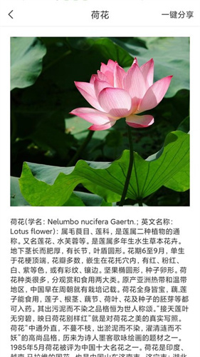 拍照识物全能王截图3