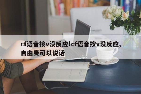 cf语音按v没反应!cf语音按v没反应,自由麦可以说话