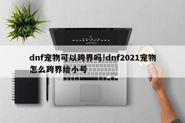 dnf宠物可以跨界吗!dnf2021宠物怎么跨界给小号